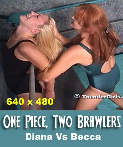 One Piece, Two Brawlers (HQ)