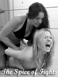 Spice of Fights BW
