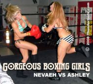 Gorgeous Boxing Girls